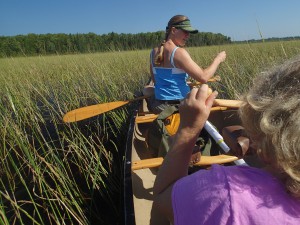 river lake louis st superior endangered connection its beaver rice seven