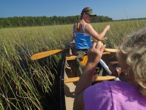 Seven Beaver wild rice