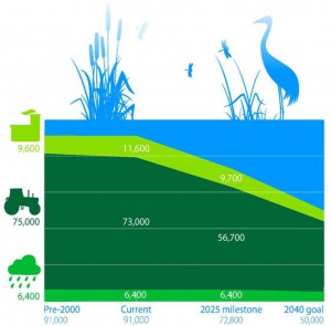 Mississippi River Nitrogen Loads