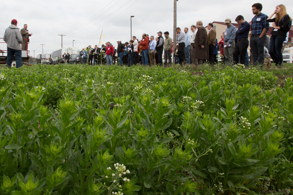 Tour of 'Forever Green' research at the University of Minnesota, St. Paul campus.  April 19, 2016.