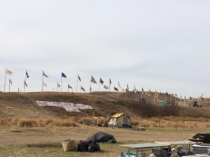 dapl3