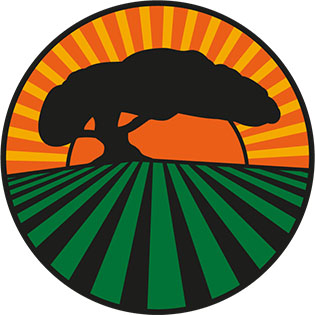 Alliance for Sustainability