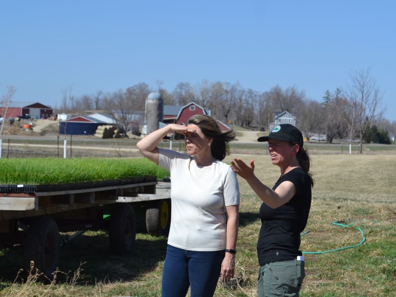 A Farm Bill for Emerging & Diversified Farmers