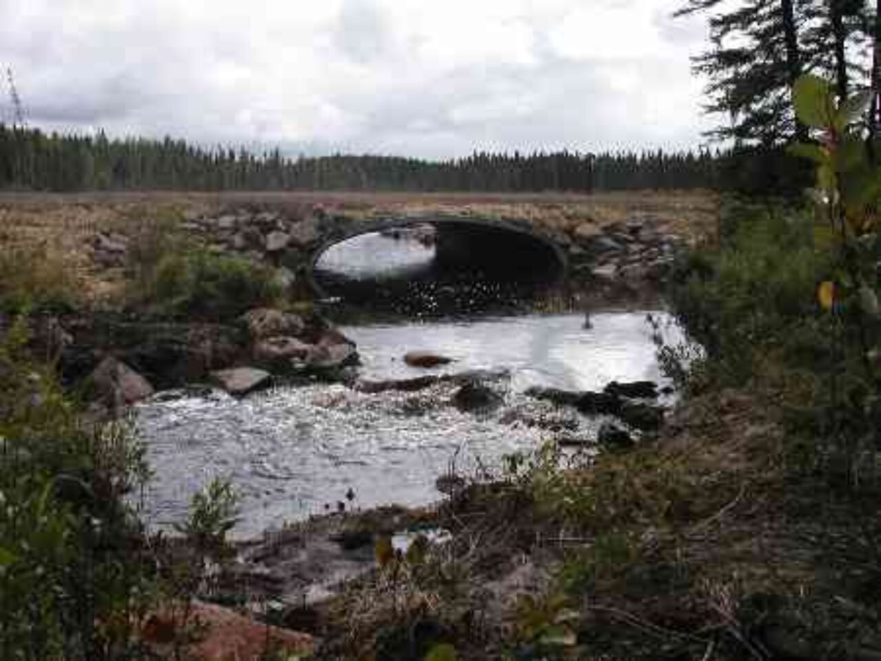 Forest Service sides with tribes, rejects resort expansion