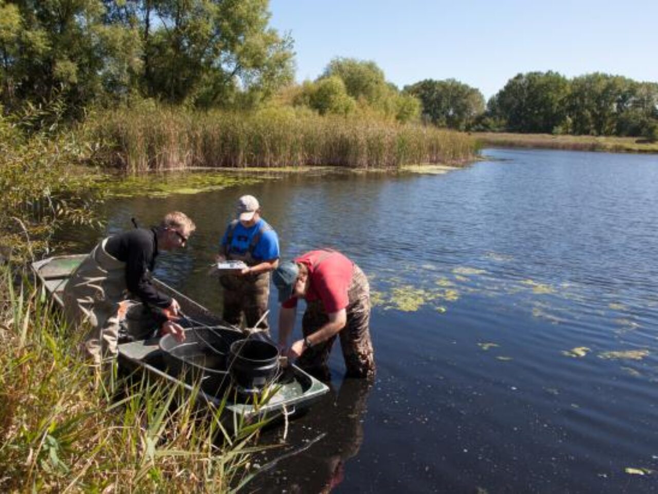 What’s next for Minnesota’s green trust fund