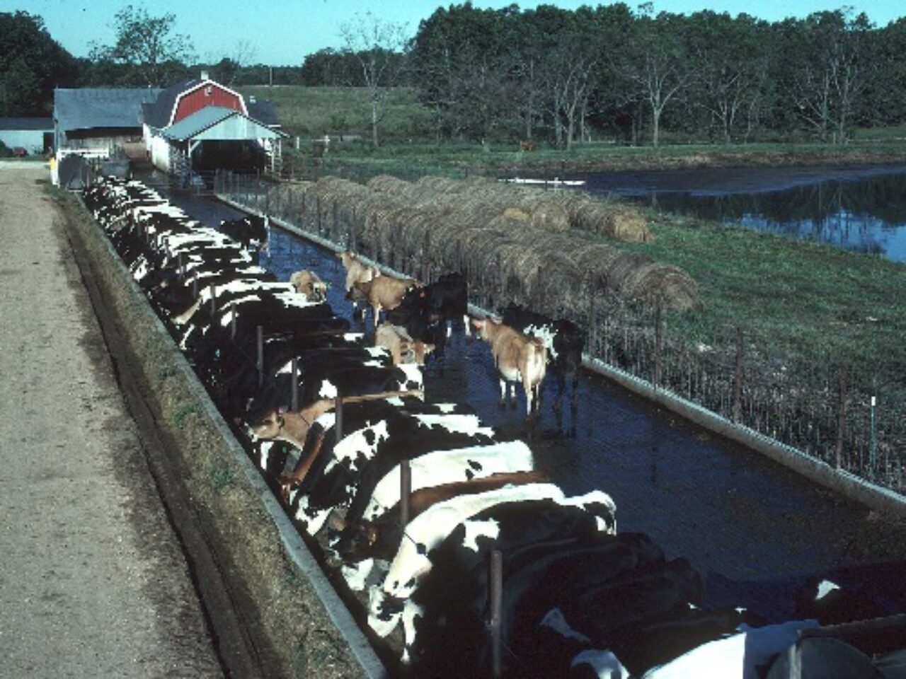 Winona County dairy decision a clean water victory