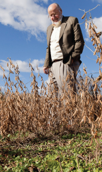 Forever Green: Alternative, off-season crops could benefit economy as well as ecology