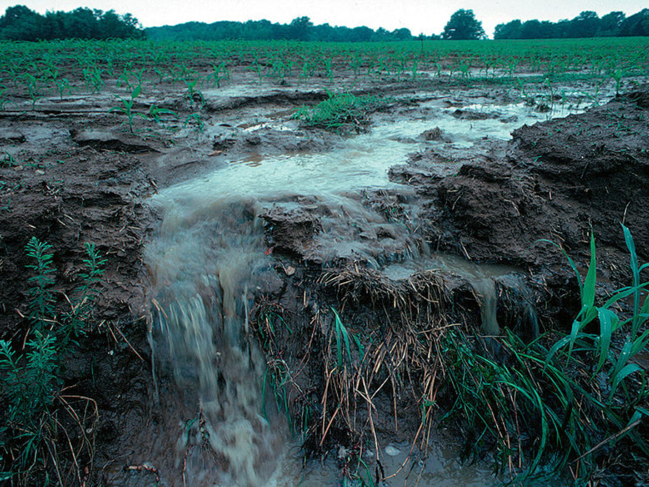 Minnesota’s floods have human fingerprints