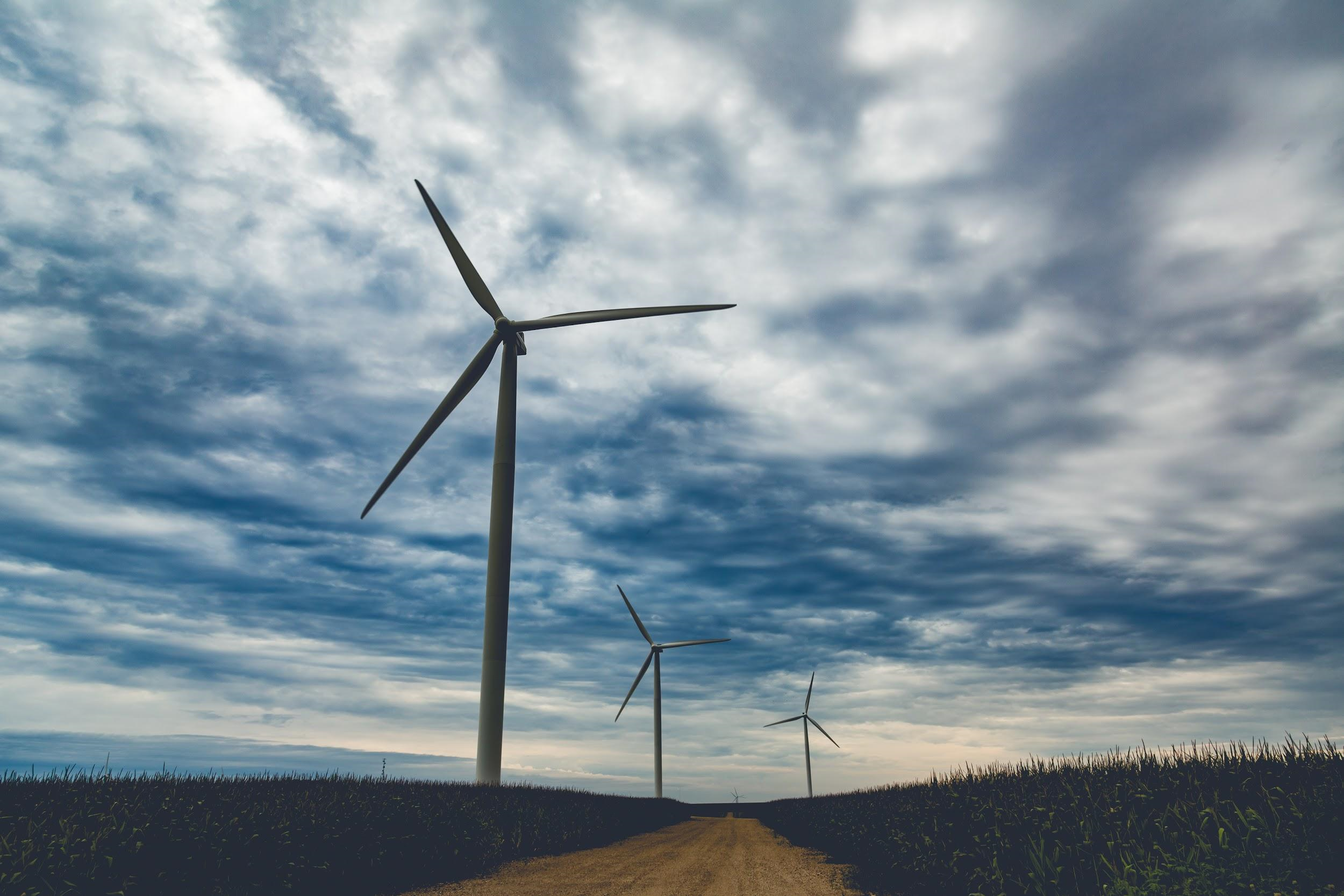 Student Voices Column – Minnesota: A Leader in the Clean Energy Transition
