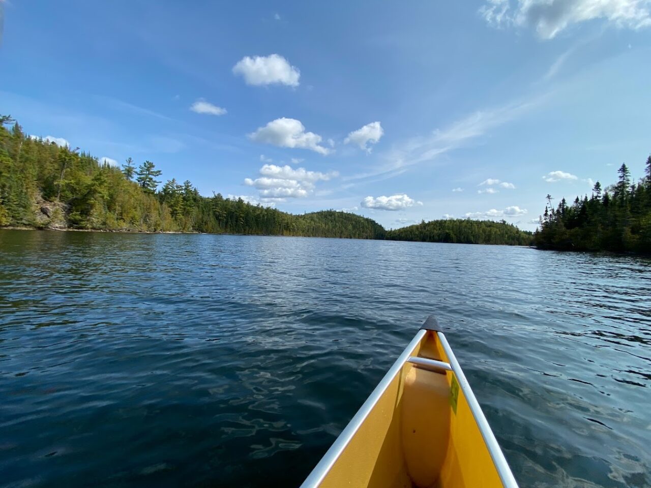 DNR comes through on recent Northland issues