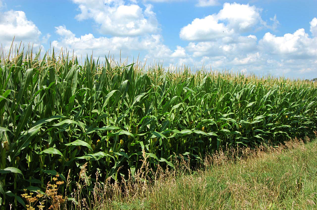 MPCA proposes new steps to cut nutrient pollution